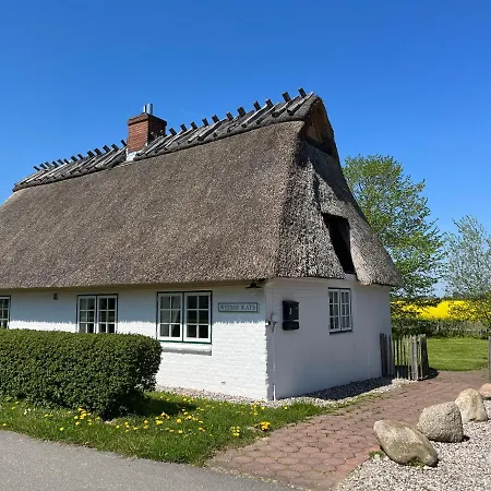 Reetdachkate Gut Priesholz Hundefreundliches Ferienhaus Mit Eingezaeuntem Garten, Kamin Und Gutshofsauna * Rabenholz