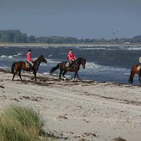 Dom wakacyjny Weisse Kate Gut Priesholz