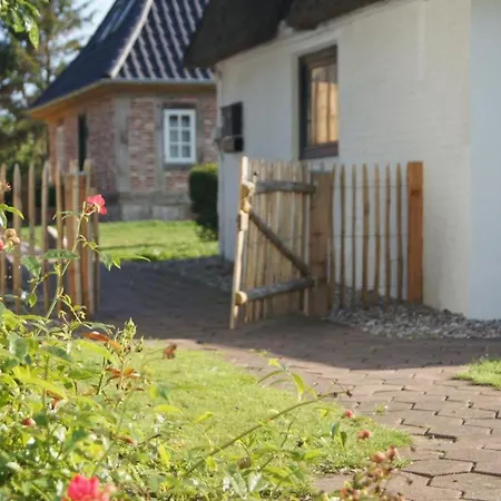 Reetdachkate Gut Priesholz Hundefreundliches Ferienhaus Mit Eingezaeuntem Garten, Kamin Und Gutshofsauna *