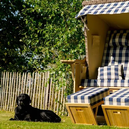 Holiday home Reetdachkate Gut Priesholz Hundefreundliches Ferienhaus Mit Eingezaeuntem Garten, Kamin Und Gutshofsauna Rabenholz