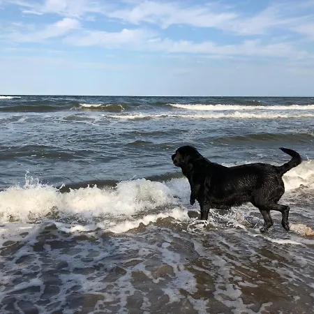 Reetdachkate Gut Priesholz Hundefreundliches Ferienhaus Mit Eingezaeuntem Garten, Kamin Und Gutshofsauna Rabenholz