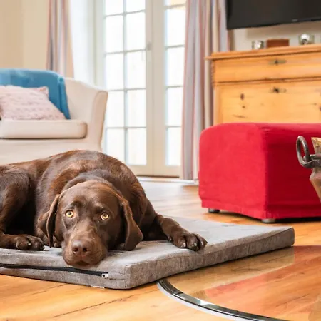 بيت للعطل Reetdachkate Gut Priesholz Hundefreundliches Ferienhaus Mit Eingezaeuntem Garten, Kamin Und Gutshofsauna *